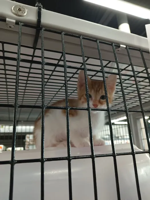 Pet Supermarket Picture 1