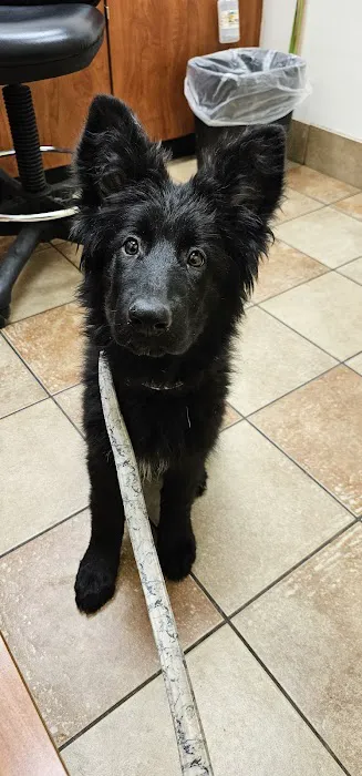 Banfield Pet Hospital Picture 2