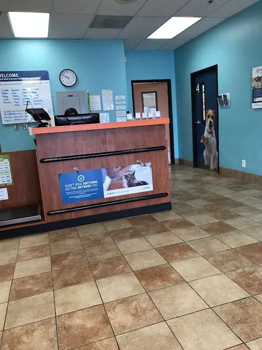 Banfield Pet Hospital Picture 7