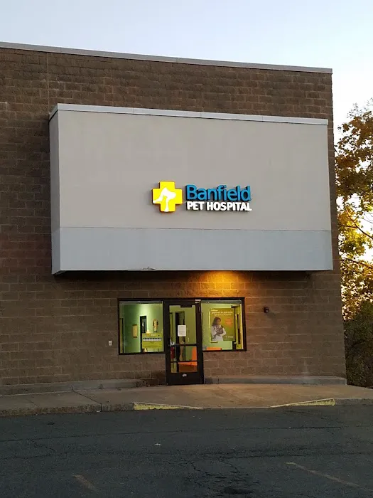 Banfield Pet Hospital Picture 3