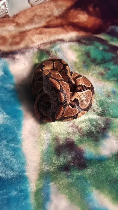 Repticon Picture 6