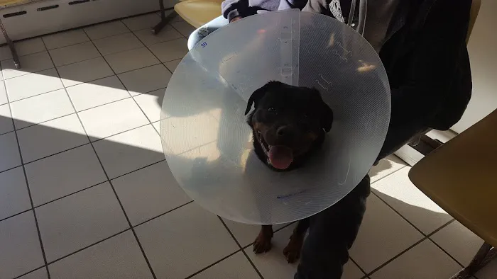 Brookside Veterinary Hospital Picture 1