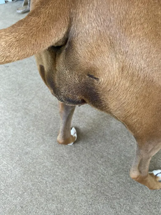 Brookside Veterinary Hospital Picture 8