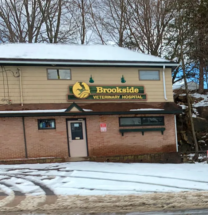 Brookside Veterinary Hospital Picture 9