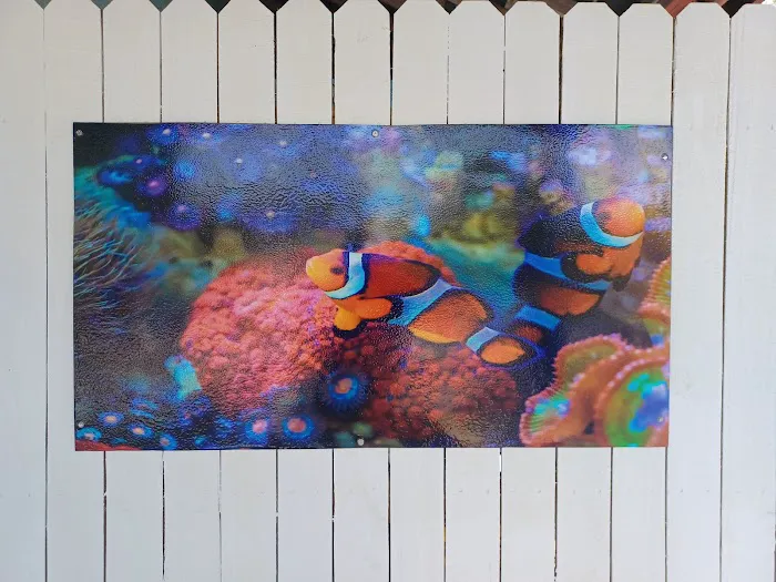 aquatic visions Picture 4