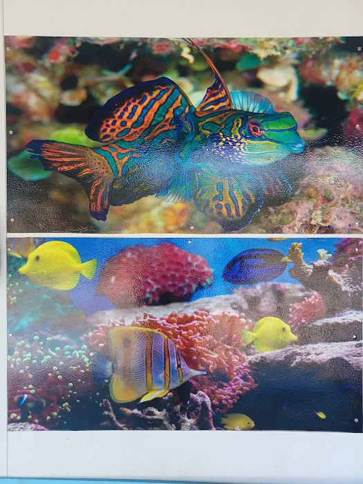 aquatic visions Picture 6