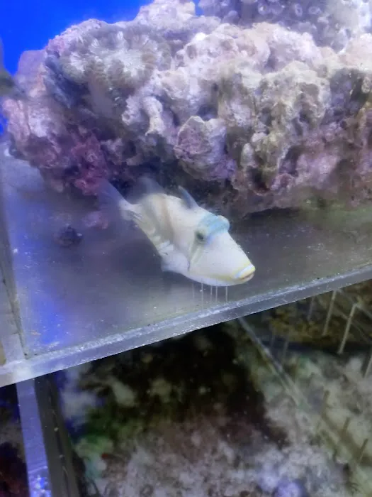 aquatic visions Picture 1