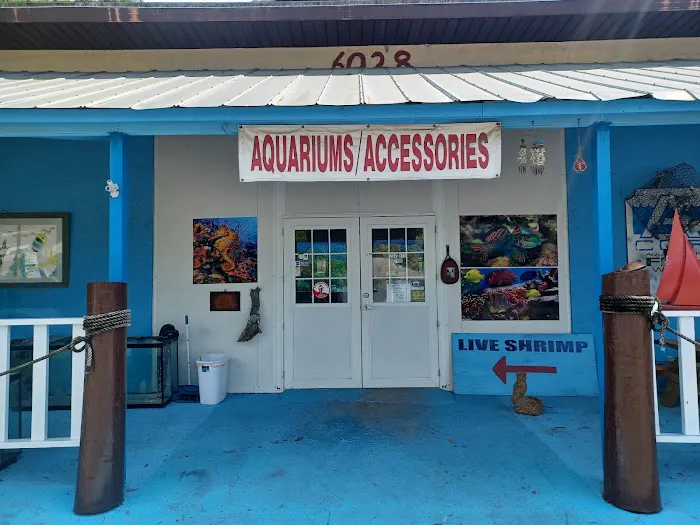 aquatic visions Picture 2