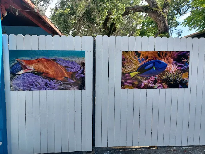 aquatic visions Picture 3
