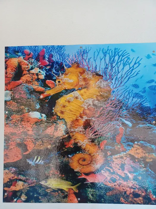 aquatic visions Picture 7