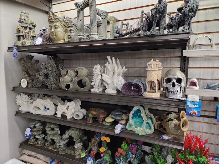 Pet Supermarket Picture 9