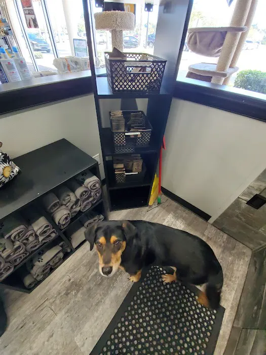 Pet Supermarket Picture 1