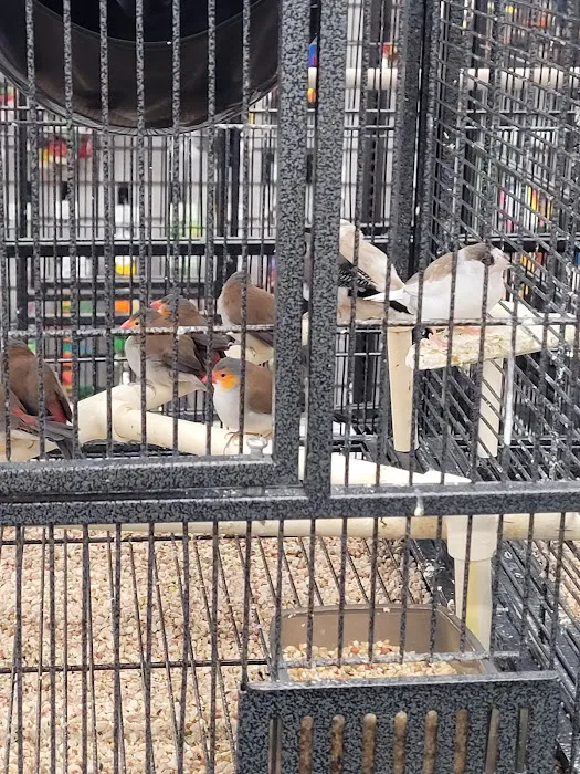 Pet Supermarket Picture 2