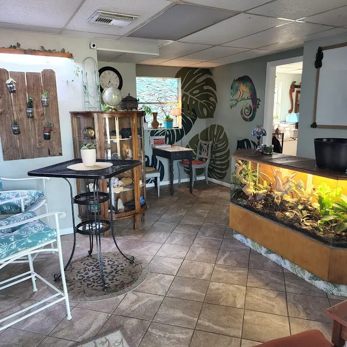 Safari Savvy's Lizard Lounge Picture 5