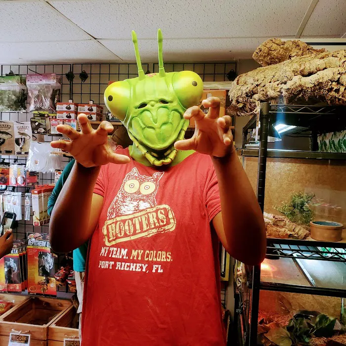Safari Savvy's Lizard Lounge Picture 7