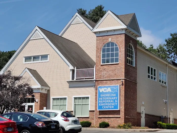 VCA Shoreline Veterinary Referral and Emergency Center Picture 7