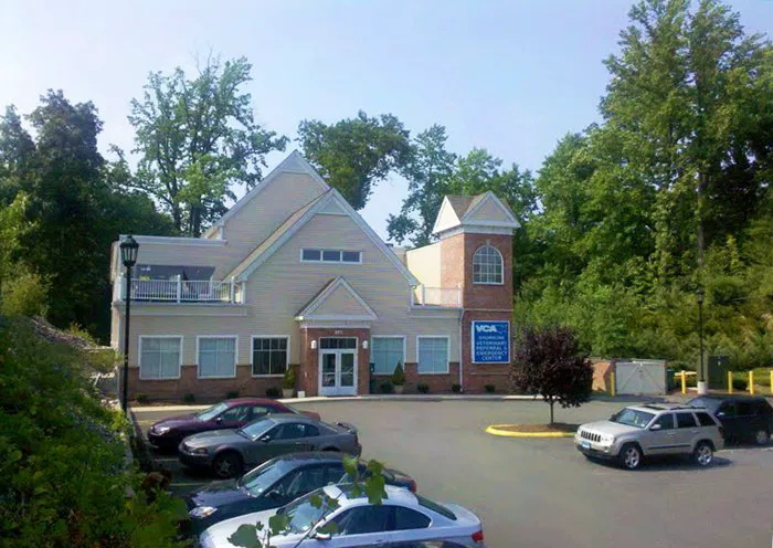 VCA Shoreline Veterinary Referral and Emergency Center Picture 10