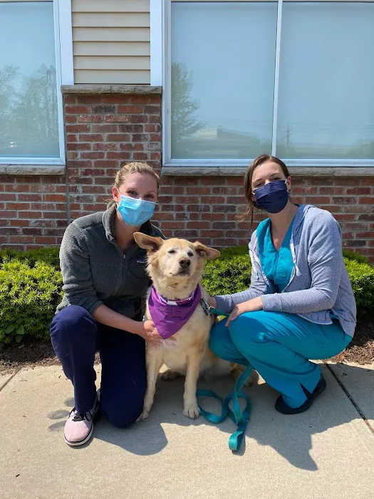 VCA Shoreline Veterinary Referral and Emergency Center Picture 8