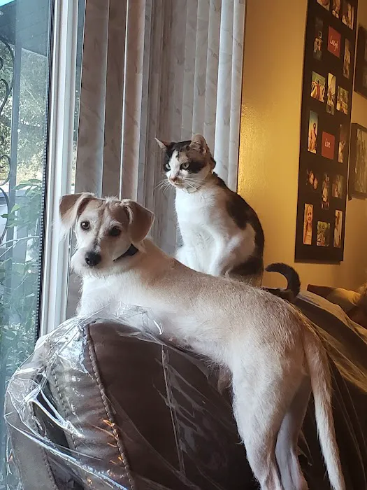 Petco Picture 2