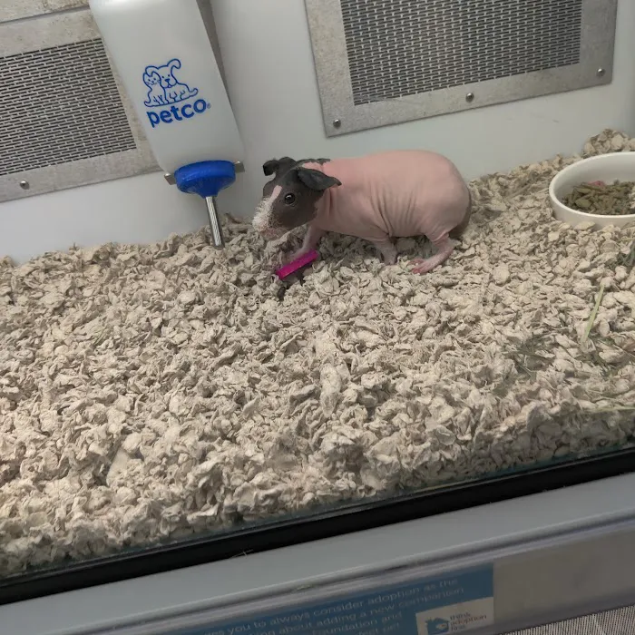 Petco Picture 10