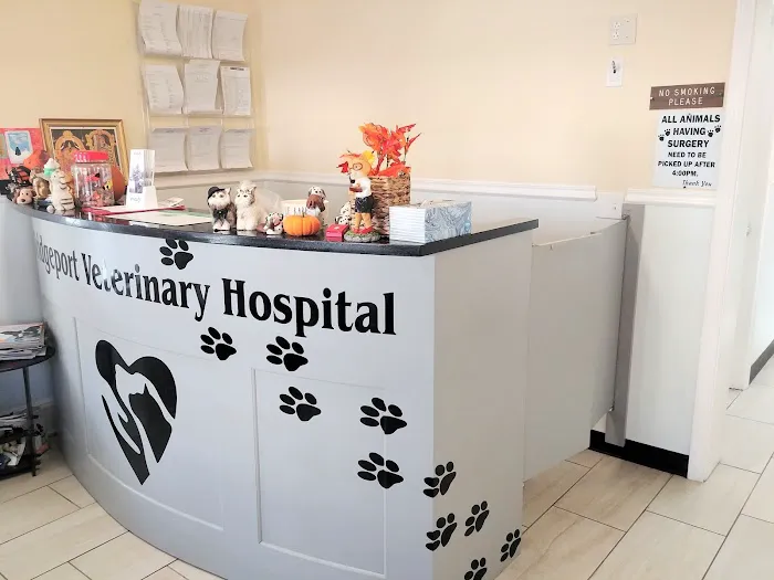 Bridgeport Veterinary Hospital Picture 3