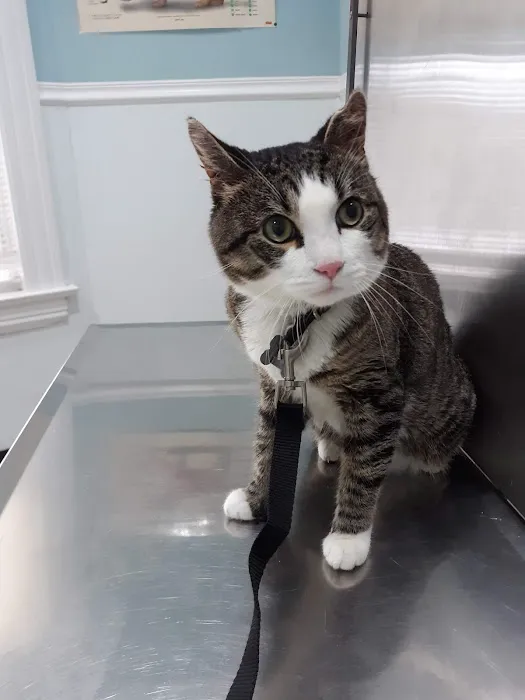 Bridgeport Veterinary Hospital Picture 1