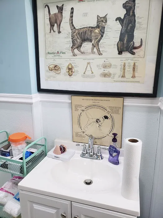 Bridgeport Veterinary Hospital Picture 7
