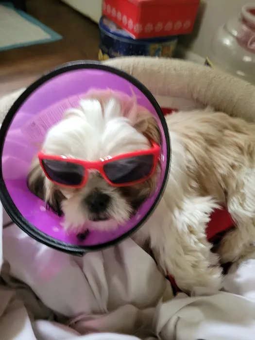 Bridgeport Veterinary Hospital Picture 10
