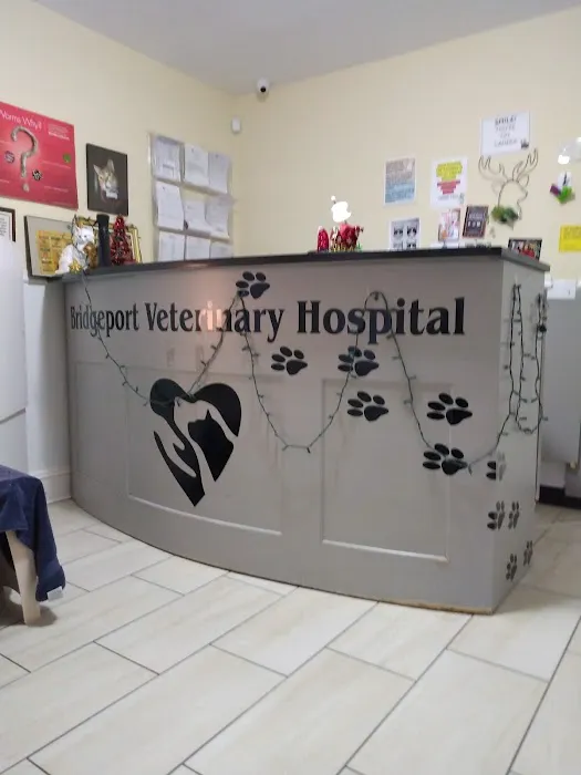 Bridgeport Veterinary Hospital Picture 9