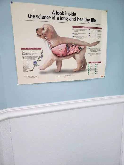 Bridgeport Veterinary Hospital Picture 4