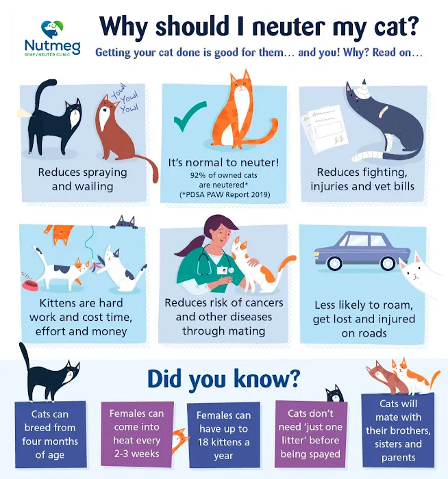 Nutmeg Spay/Neuter Clinic Picture 3