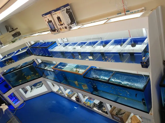 Darrell's Aquarium Picture 4