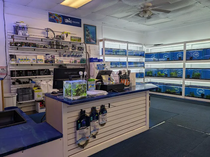 Darrell's Aquarium Picture 5