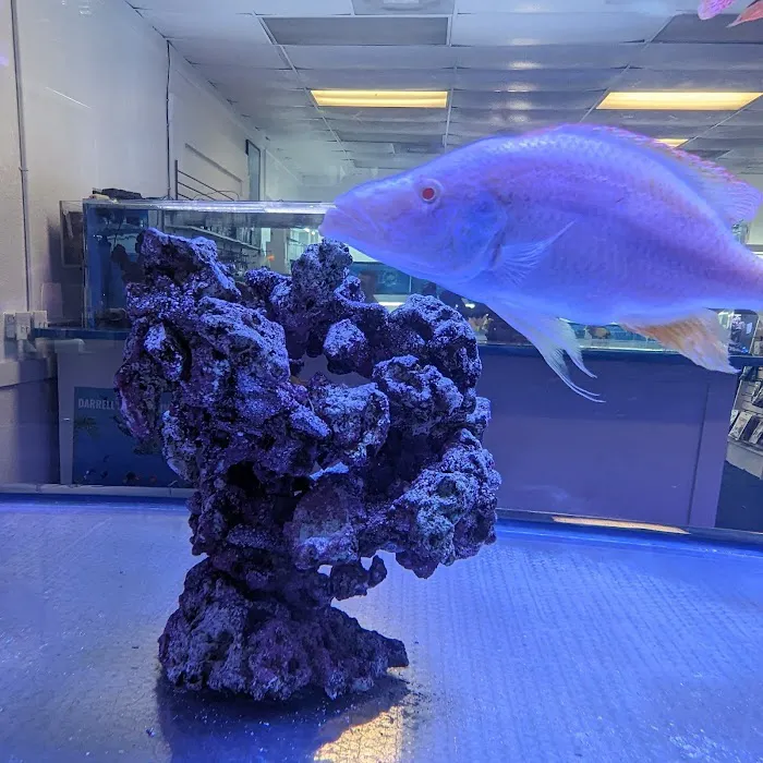 Darrell's Aquarium Picture 1