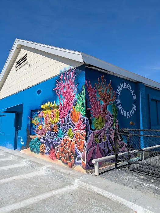 Darrell's Aquarium Picture 3