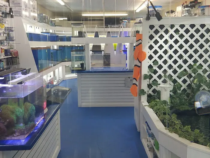 Darrell's Aquarium Picture 8