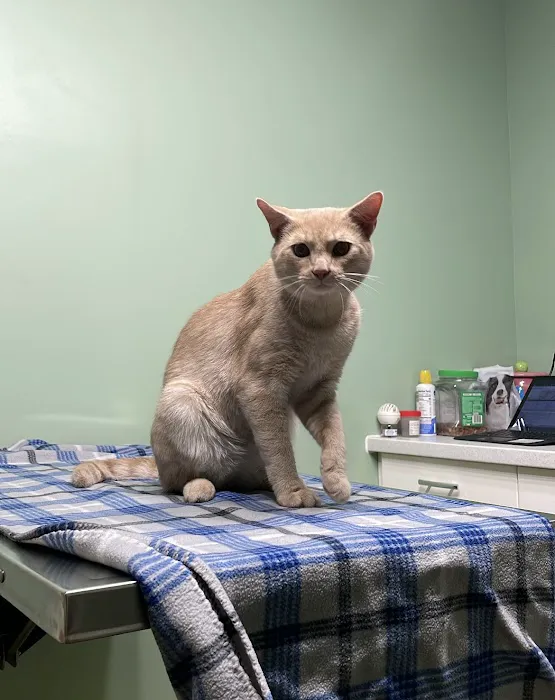 River Valley Veterinary Hospital Picture 3