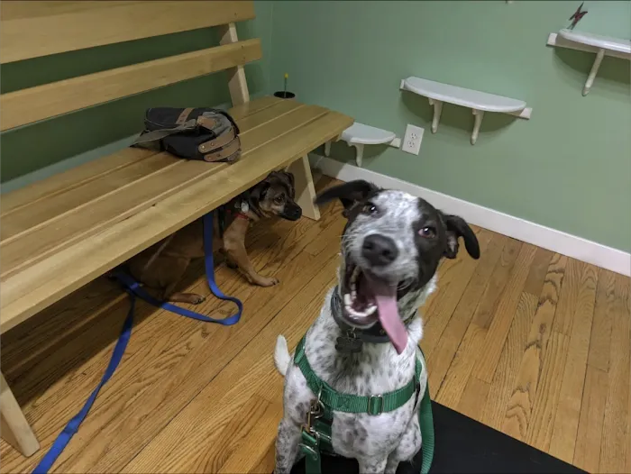River Valley Veterinary Hospital Picture 10