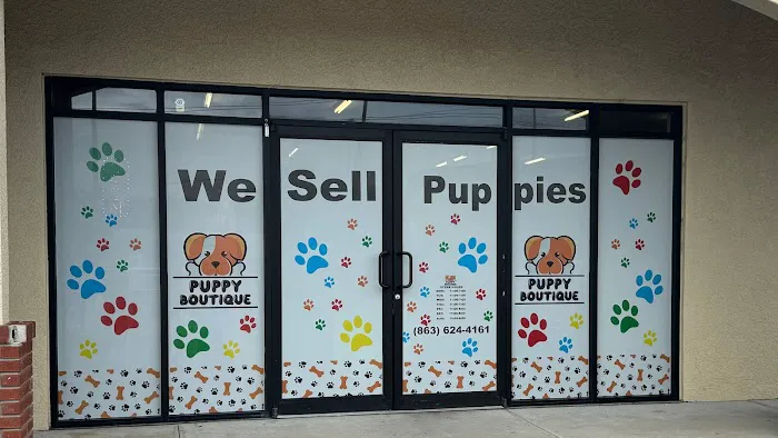 Puppy Boutique of Bartow Picture 7