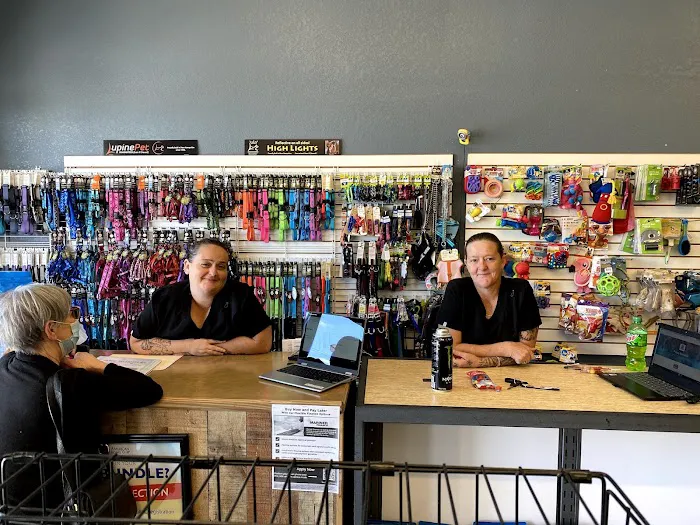 Puppy Boutique of Bartow Picture 8