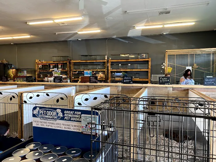 Puppy Boutique of Bartow Picture 10