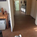 Veterinary Associates of Derby, LLC