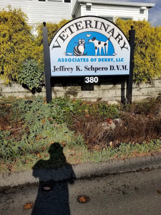 Veterinary Associates of Derby, LLC Picture 7