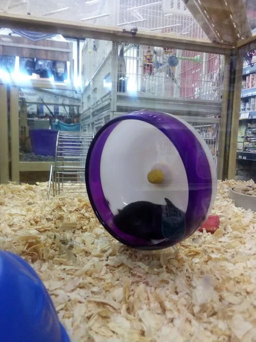 Pet Supermarket Picture 7
