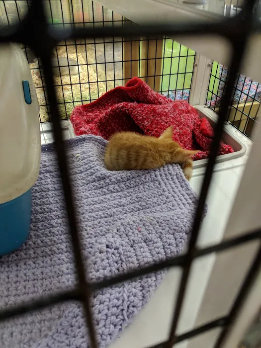 Pet Supermarket Picture 6