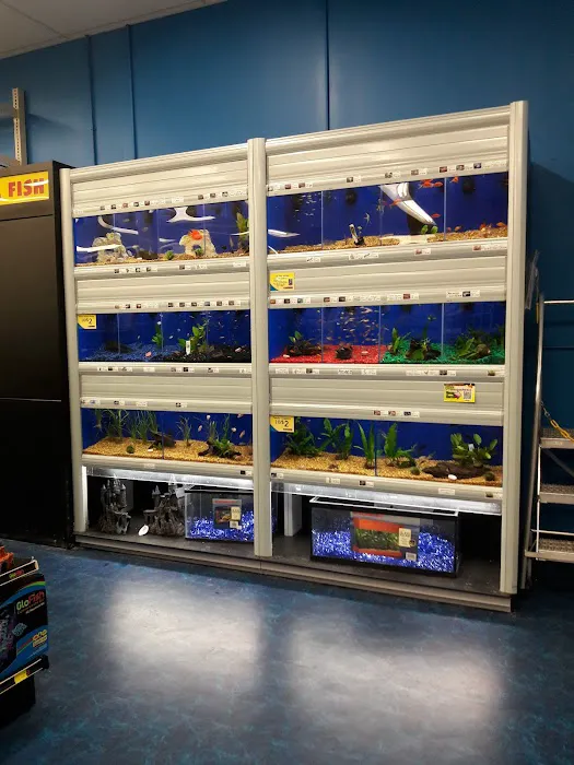 Pet Supermarket Picture 3