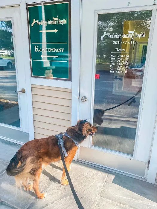 Woodbridge Veterinary Hospital Picture 1