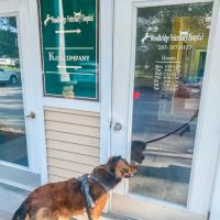 Woodbridge Veterinary Hospital ico