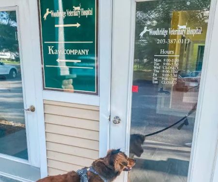 Woodbridge Veterinary Hospital