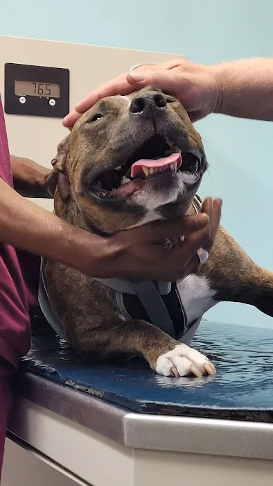 Woodbridge Veterinary Hospital Picture 4